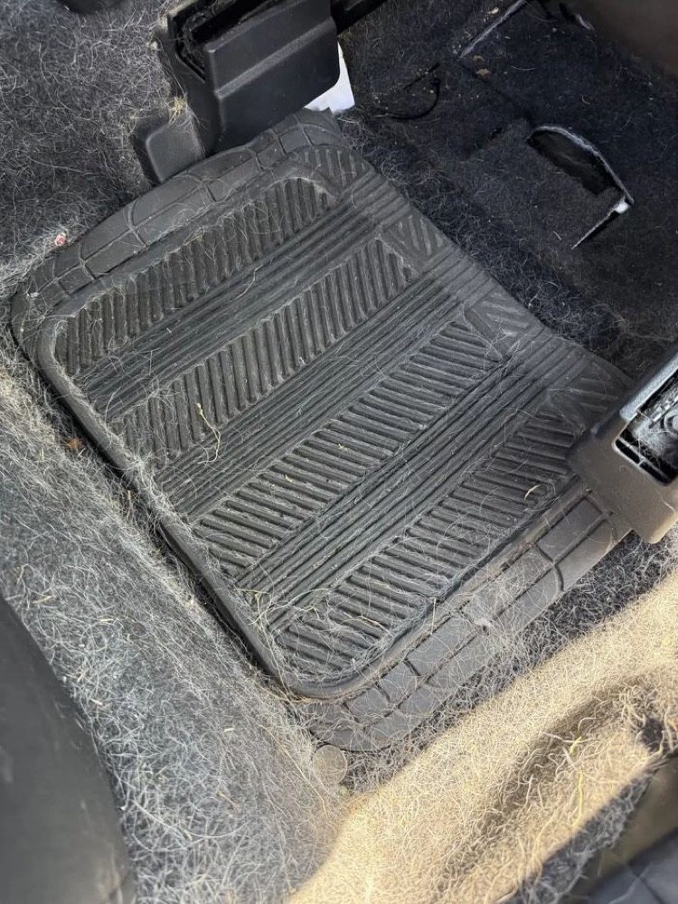 Floor mat covered in embedded pet hair